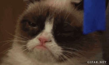 Да отстань ты!