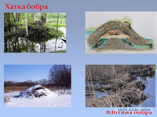 23-летняя девушка влюбилась в 68-летнего мужчину, вышла замуж и через год родила ему сына