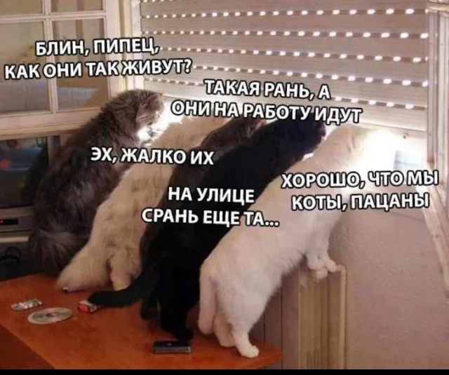 Просто 33 картинки