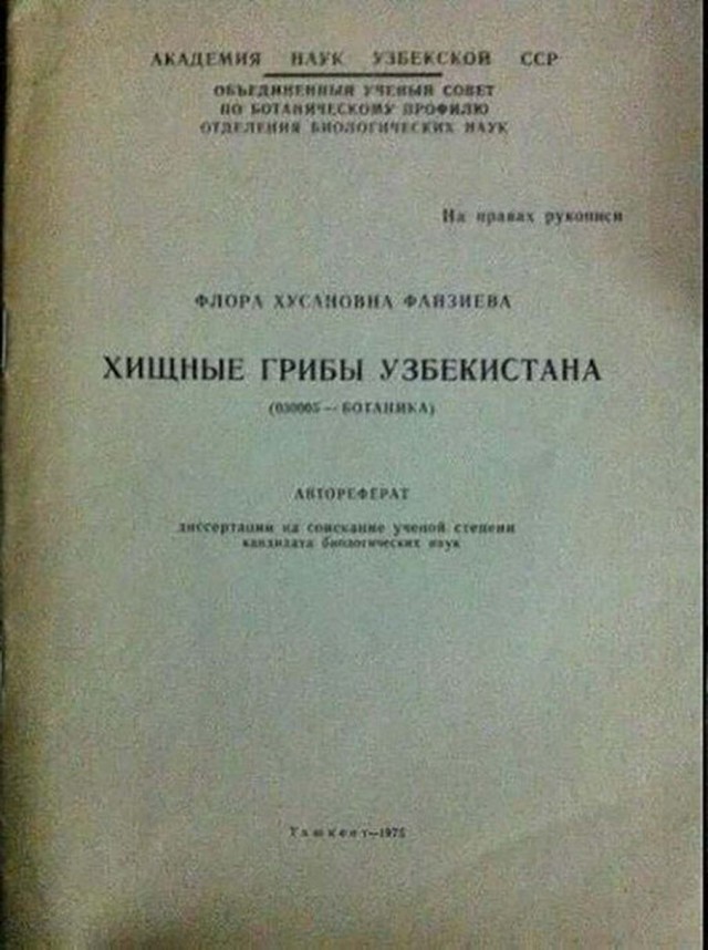 Пара-пара-пам! Фьють!