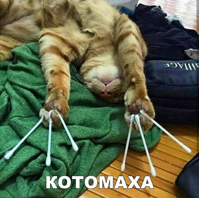 Чуток картинок 19.05.20