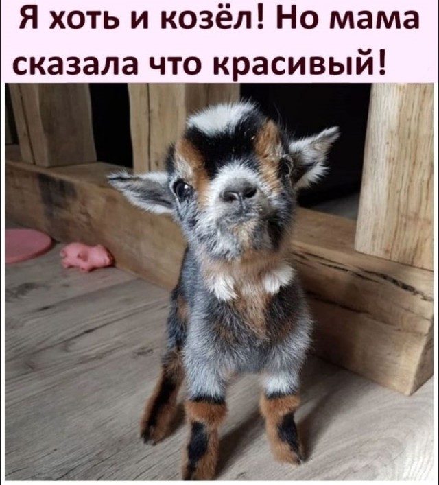 Немного картинок для настроения 29.05.20