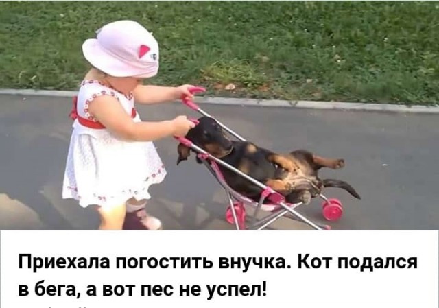 Немного картинок для настроения 18.07.20