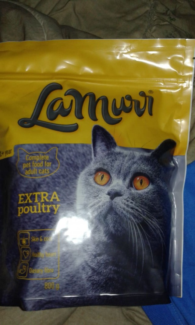 Лучшие сухие корма для кошек