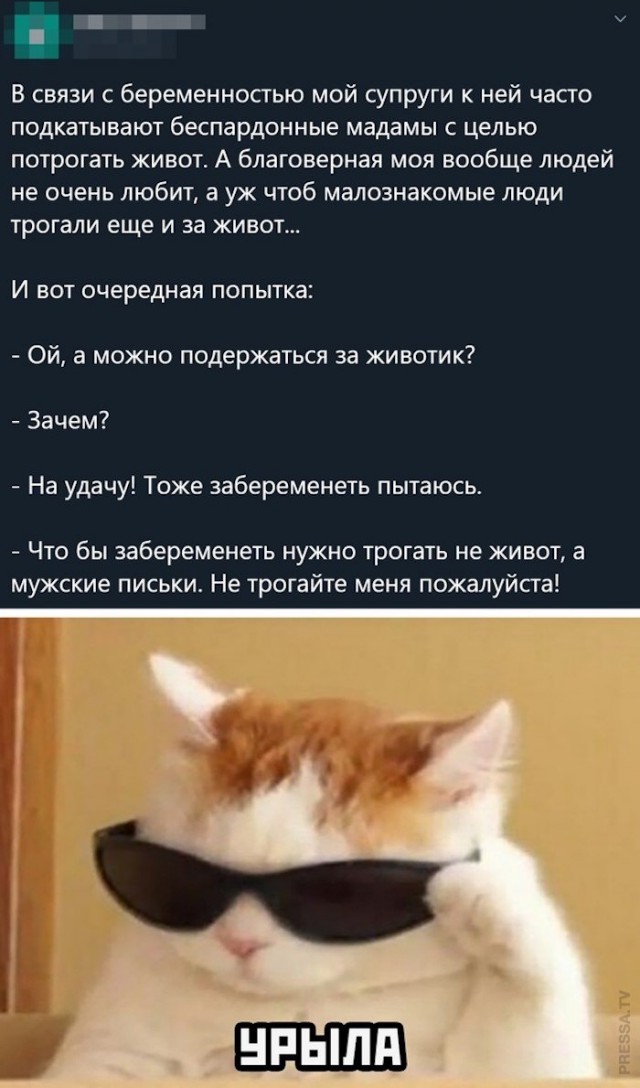 Юмор в картинках 31.08.20