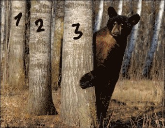 Граждане, вы мёду не видали?