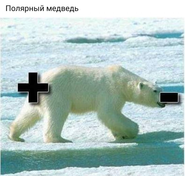 Бредзона 02.01.21
