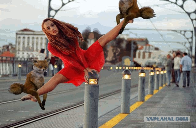 Жабьйо