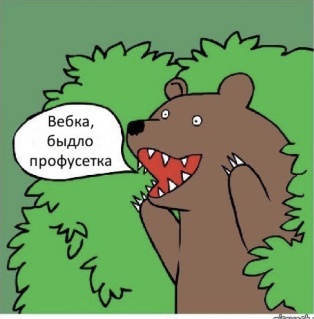 Возвращение вебкамщецы