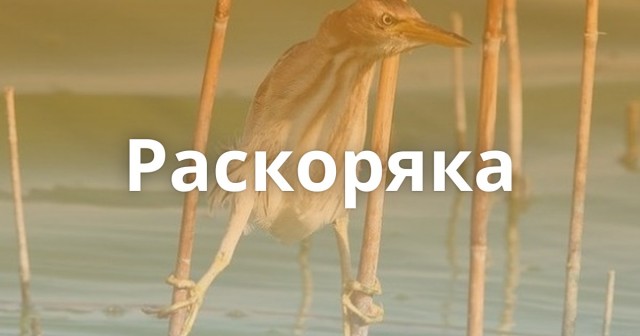 Было-стало