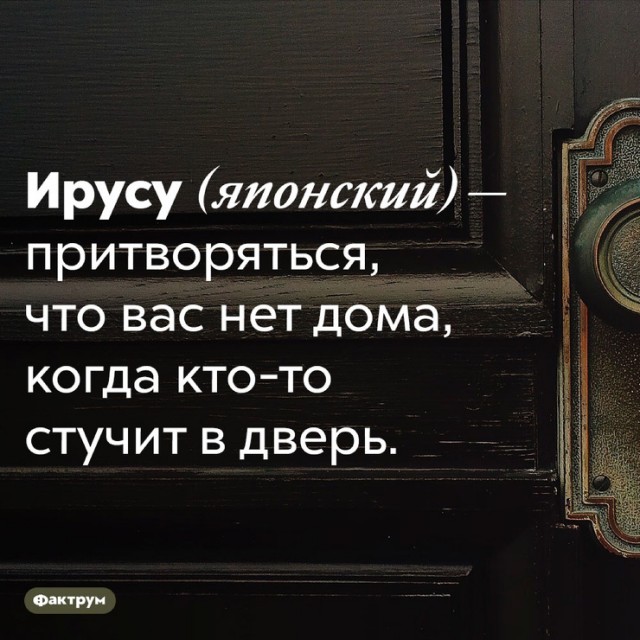 "Солянка" из картинок для улыбнуться или позалипать в среду