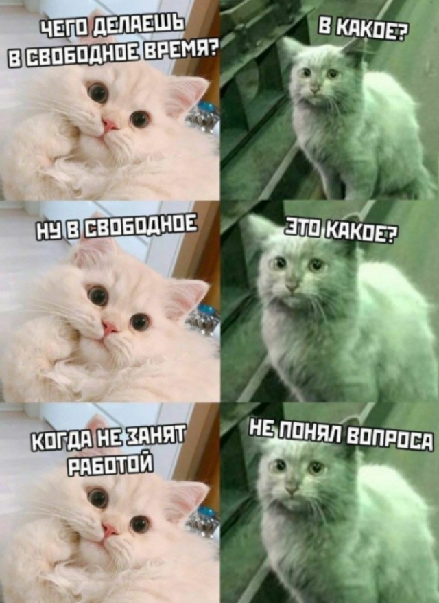 Последняя картинка в вашей Галерее/Загрузках