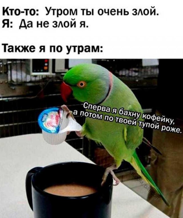 Картинки и мемы для настроения 21.06.2021
