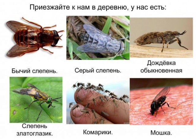 Так себе картинки 11.07.21