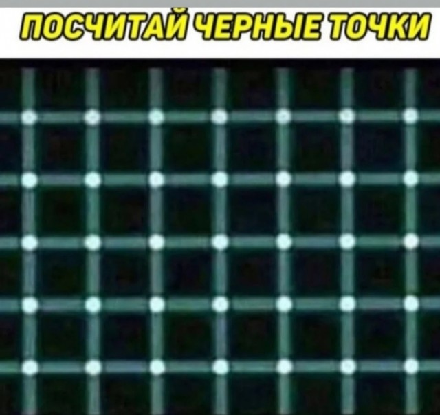 Бредзона 08.08.21