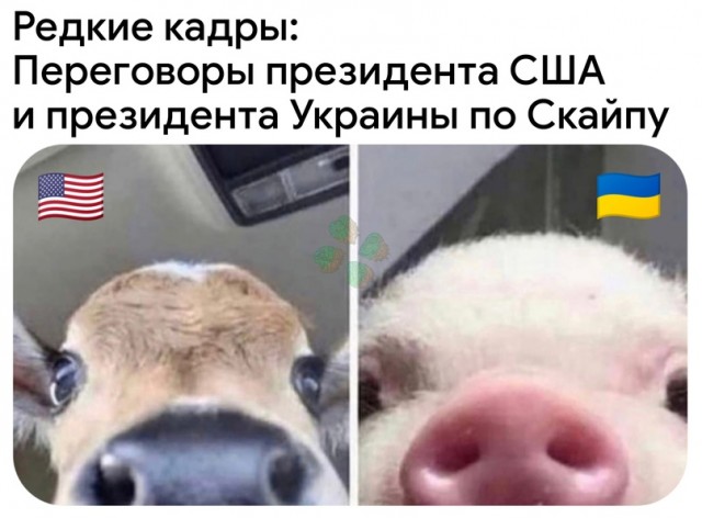 Картинки и мемы для настроения 12.08.2021
