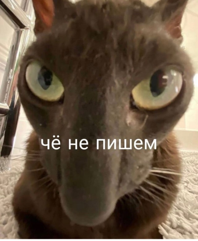 Картинки 07.11.21