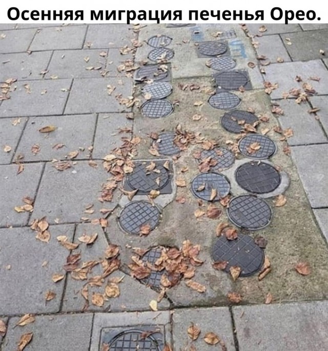 Так себе картинки 20.11.21