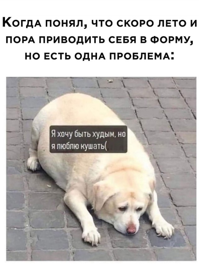 Весёлый полтишок 03.02