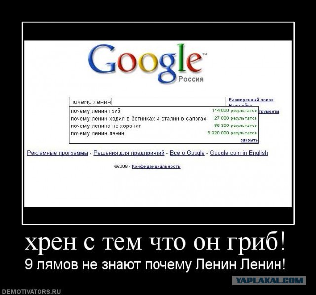 Британские ученые выяснили, что грибы способны общаться, и в их словарном запасе есть около 50 слов