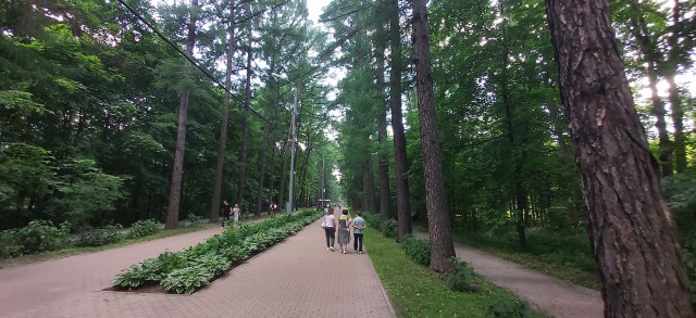 Парк Сокольники