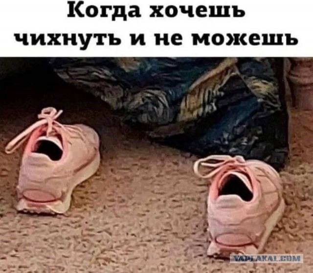 Так себе картинки 25.07.22