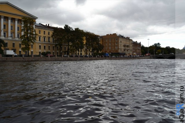 СПб глазами уставшего туриста...