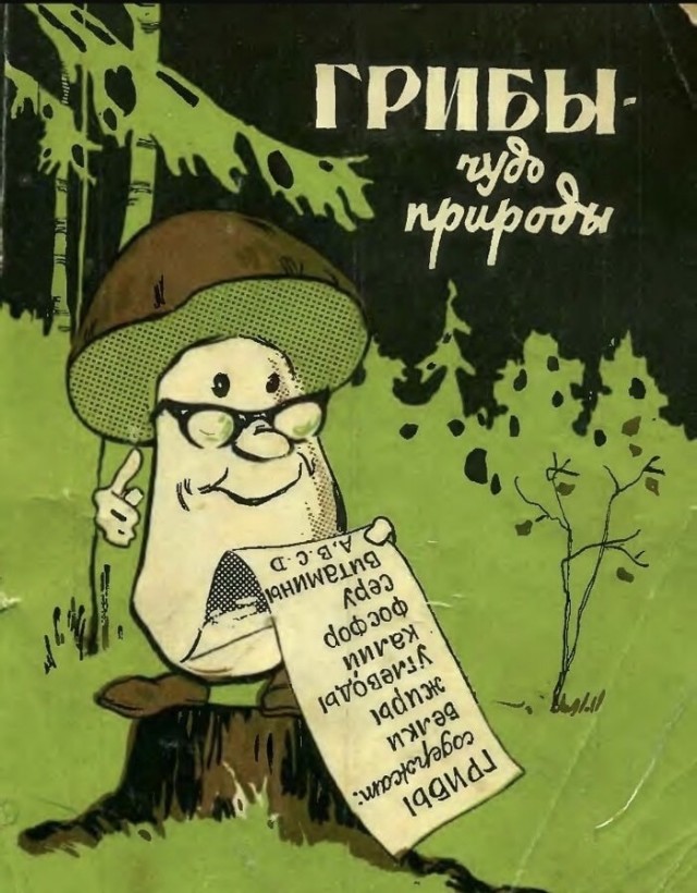 50 Пикчев из старых запасов