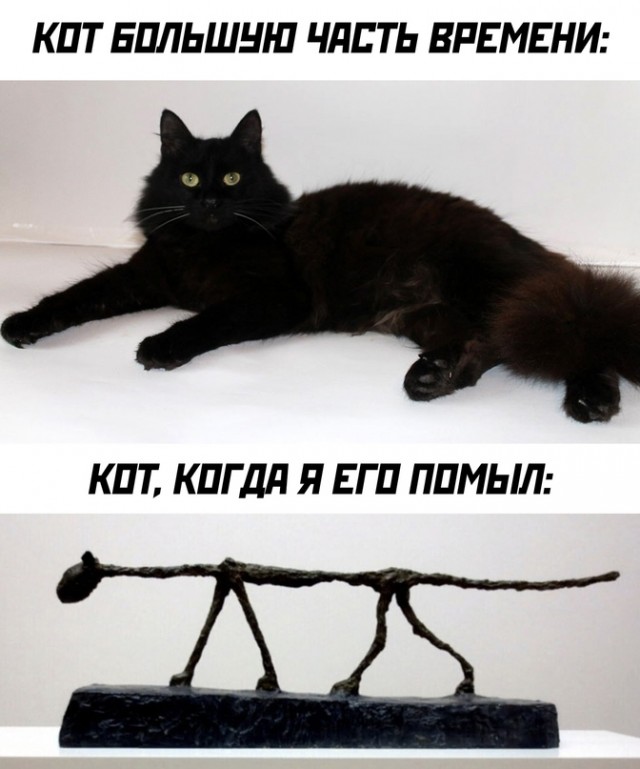 Немного картинок для настроения - 112