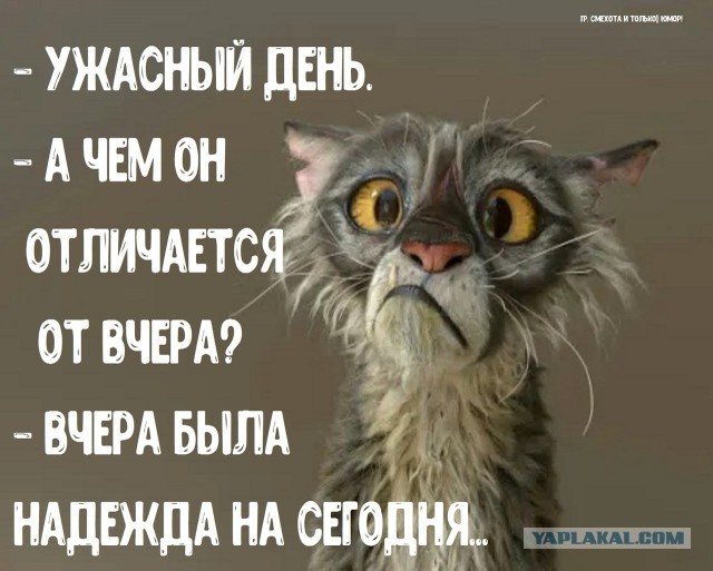 У будущей жены должна быть квартира и машина