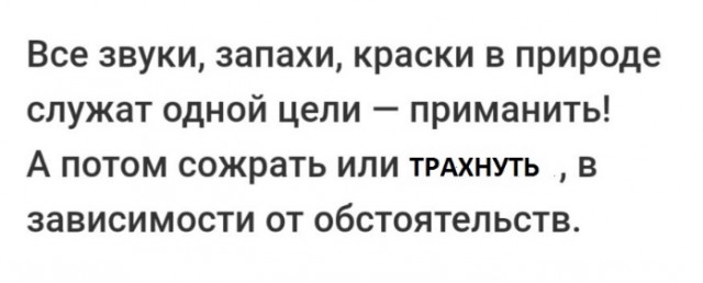 Безсистемная подборка, мож кого и улыбнёт