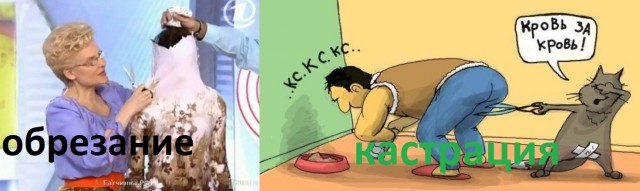 Смотри, Кутузов, не перепутай...