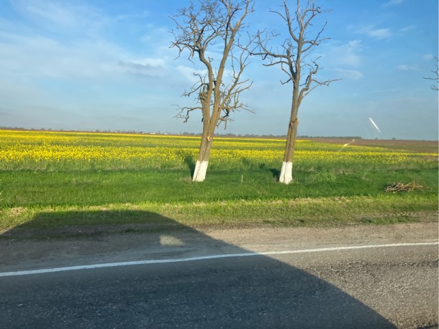 В тему о Крыме