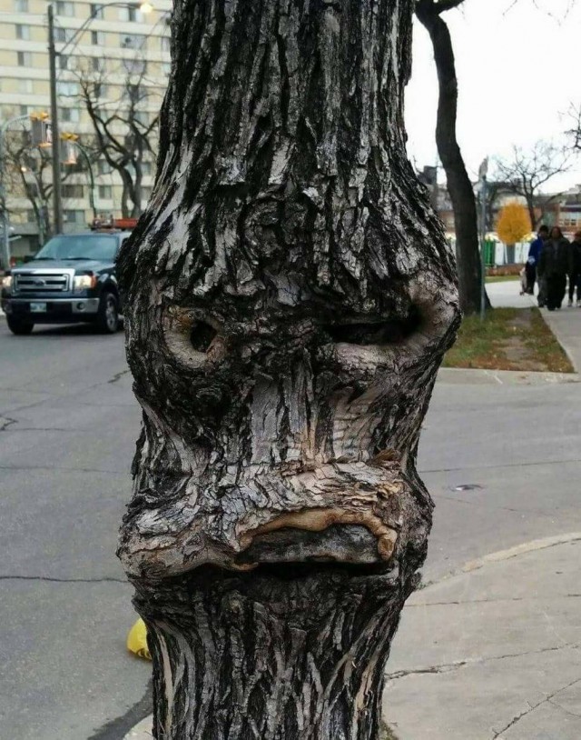 Необычные картинки 30.04