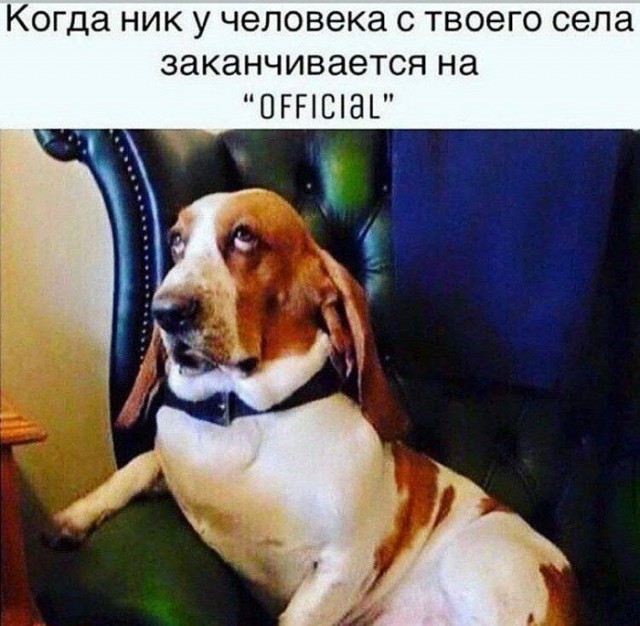 Подборка картинок 23.05.2023