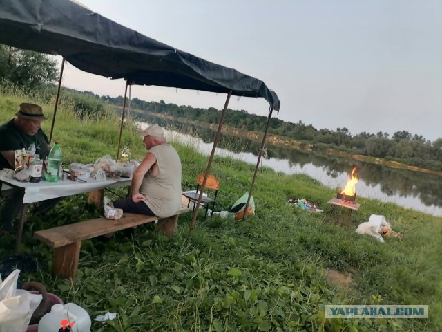 Настоящая рыбалка онлайн