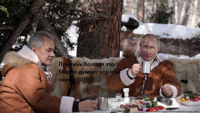 Спасите армию от Шойгу