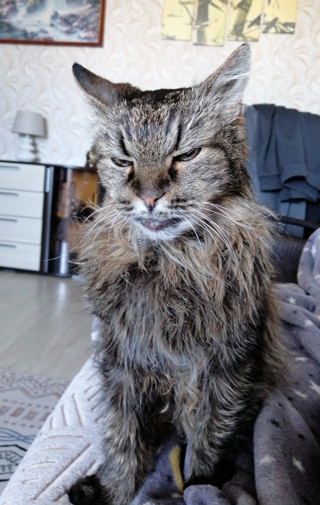 Котя моя. Ну и пусть собакочетверг!
