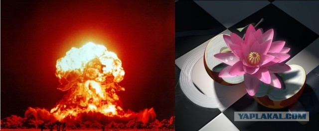 У гроба Папы Иоанна Павла II