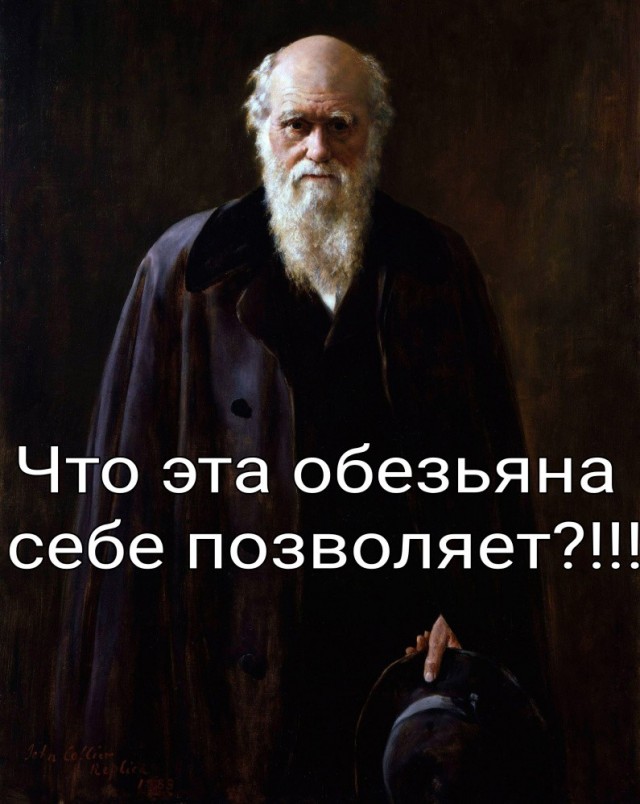 Как появилась Вселенная и жизнь на Земле?