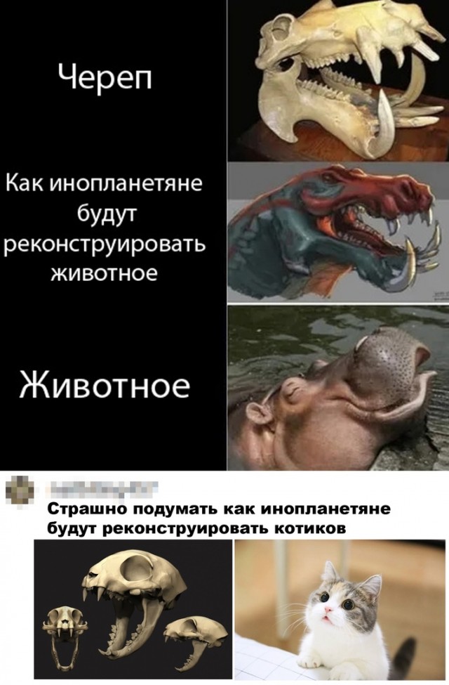 5 пугающих доисторических существ из прошлого, которые давно вымерли, и это к лучшему