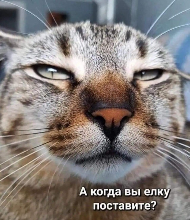 Новогодние картинки и тексты улыбательные (баяны и не очень)