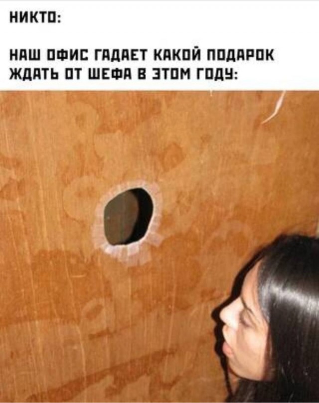 Котики, панки и дестрой