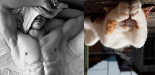 Мужики и котэ