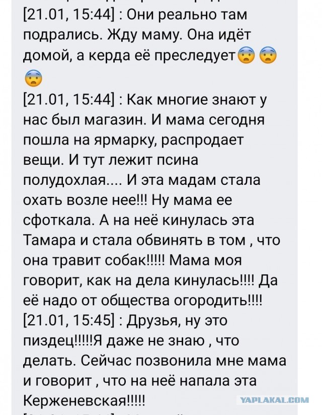 В Астрахани зоозащитники схватили пенсионера за грудки и обвинили в травле собак