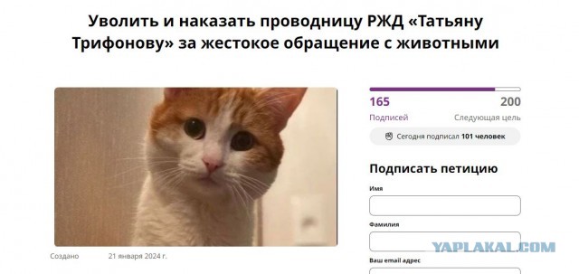 Проводник, высадившая кота Твикса, временно отстранена от работы