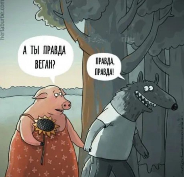 Никакие картинки и тексты