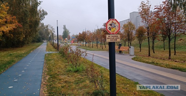 Знаки добра 4