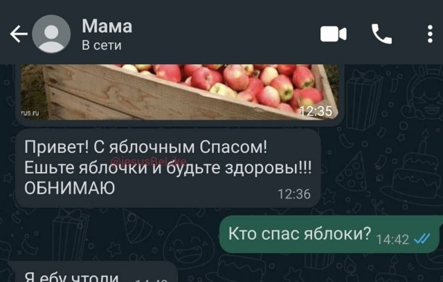 Всего понемногу. От 01.11.2024