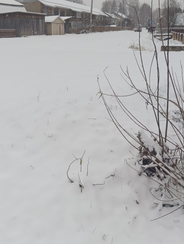 Всем доброе утро!